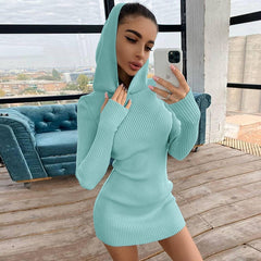 Autumn Mini Dress