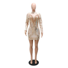 Forest Sparkle Sequins Dress