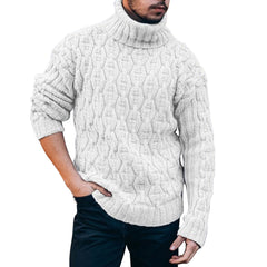 Solid Turtleneck Sweater