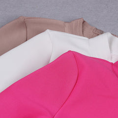 Turtleneck Hollow Out Dress