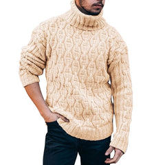 Solid Turtleneck Sweater
