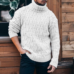Solid Turtleneck Sweater