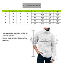 Solid Turtleneck Sweater