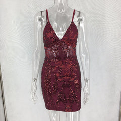 Sparkling V neck dress