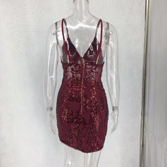 Sparkling V neck dress